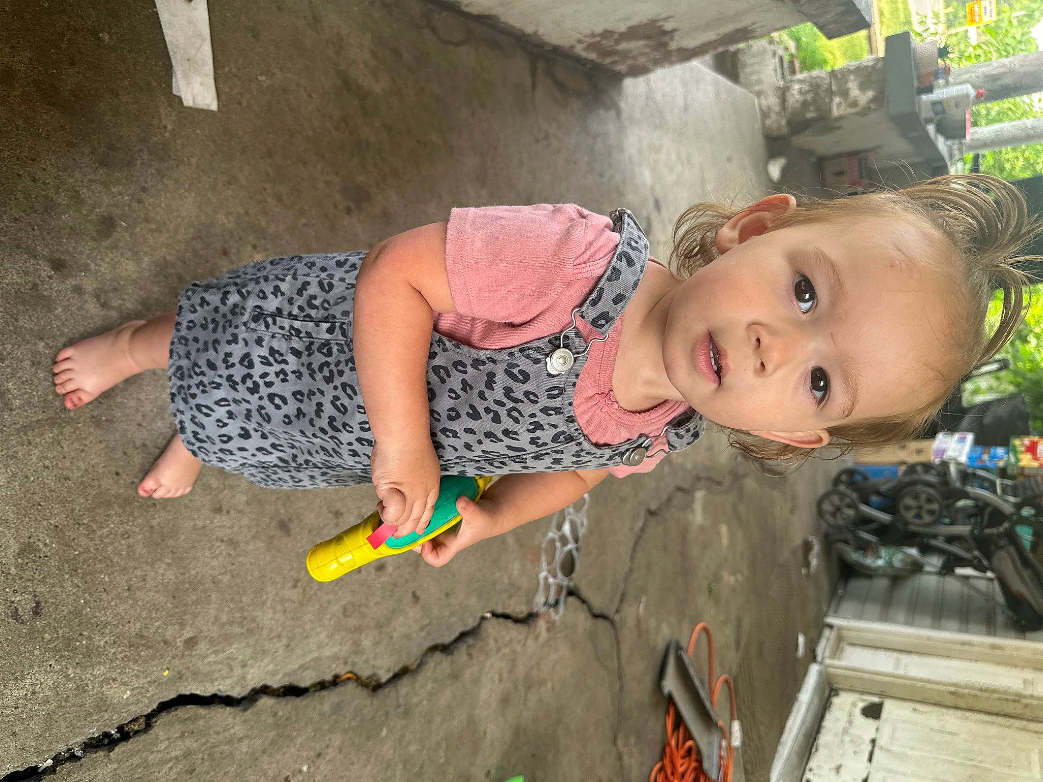 Khaleesi joined the competition — help win amazing prizes! adaptation, baby_toddler_clothing, child, concrete, flooring, foot, fun, grass, human_leg, leisure, pattern, person, public_space, sitting, soil, summer, thigh, toddler, tree, vacation