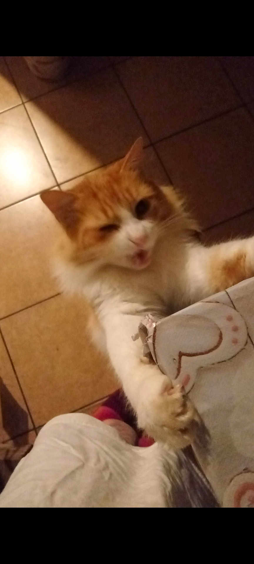 Mika