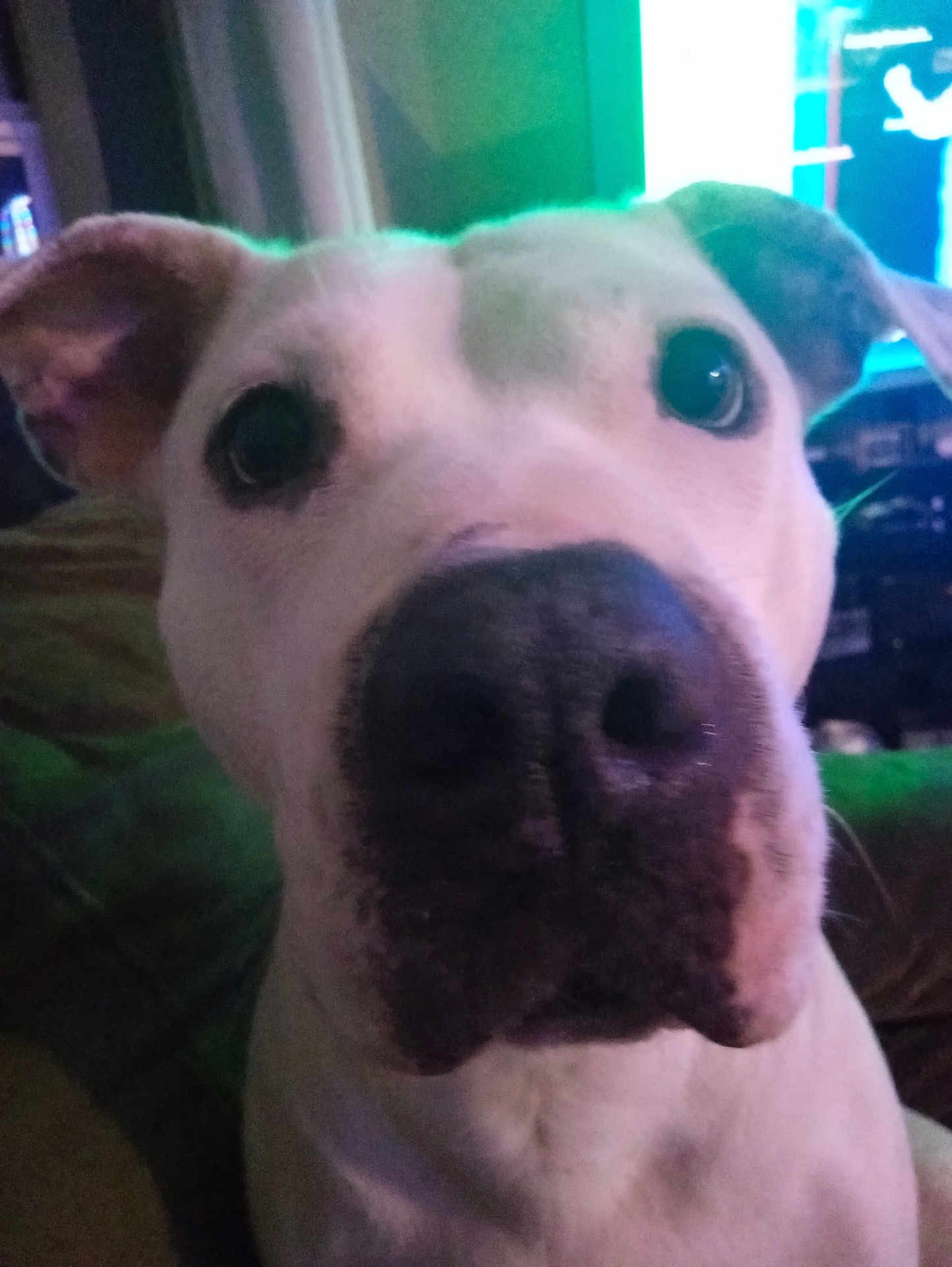 Luna