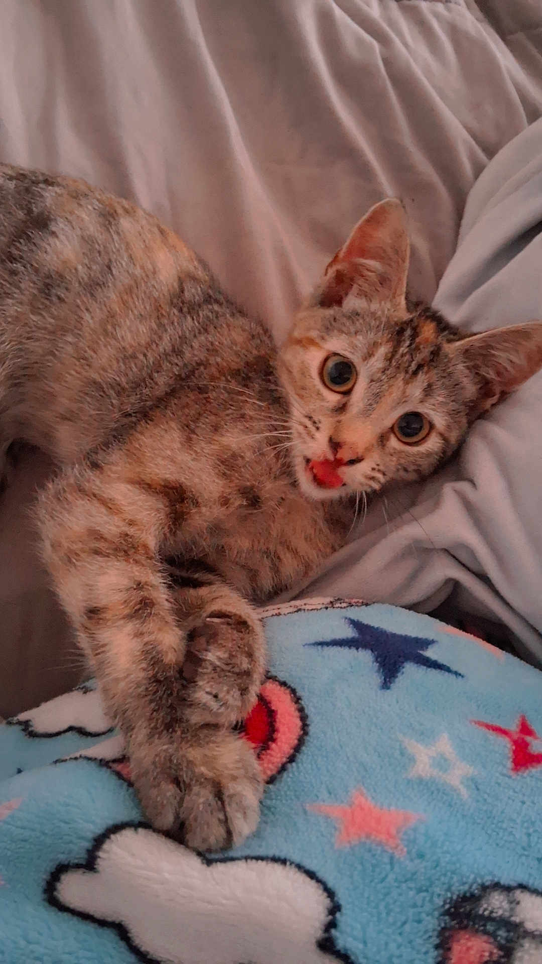 Sofia