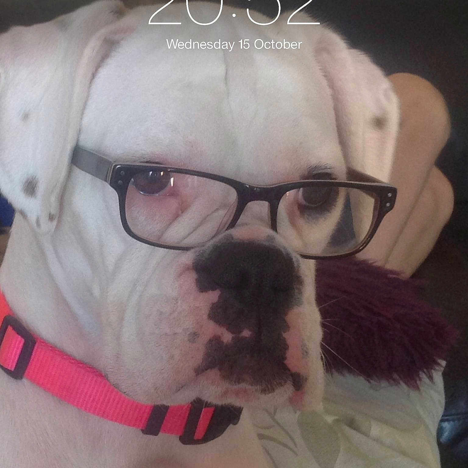 Maggie
