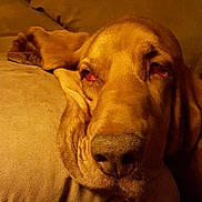 Captain Morgan joined the competition — help win amazing prizes!