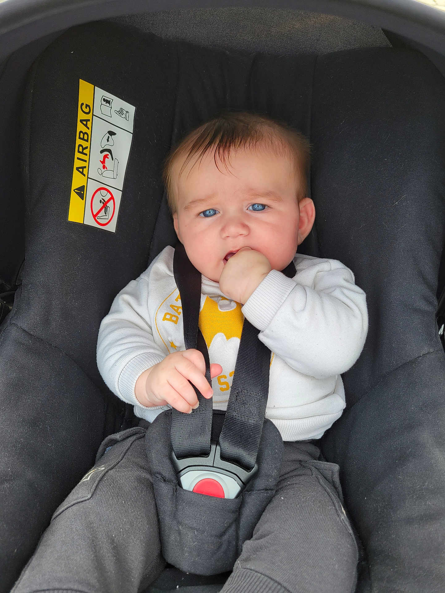 Ezio a rejoint le concours — aidez-le/la à gagner de superbes lots ! baby, blue_eyes, car_seat, child, chubby_cheeks, clothing, cute, hand_in_mouth, indoor, infant, pants, person, portrait, safety, seatbelt, secure, straps, sweater, warning_label, young_child