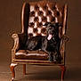 Minnie is registered to the contest to win money with this photo: animal, armchair, black_dog, brown_background, canine, comfort, cozy, dog, furniture, happy, indoor, leather_chair, mammal, pet, portrait, relaxed, seated, studio_lighting, tongue_out, vintage_furniture