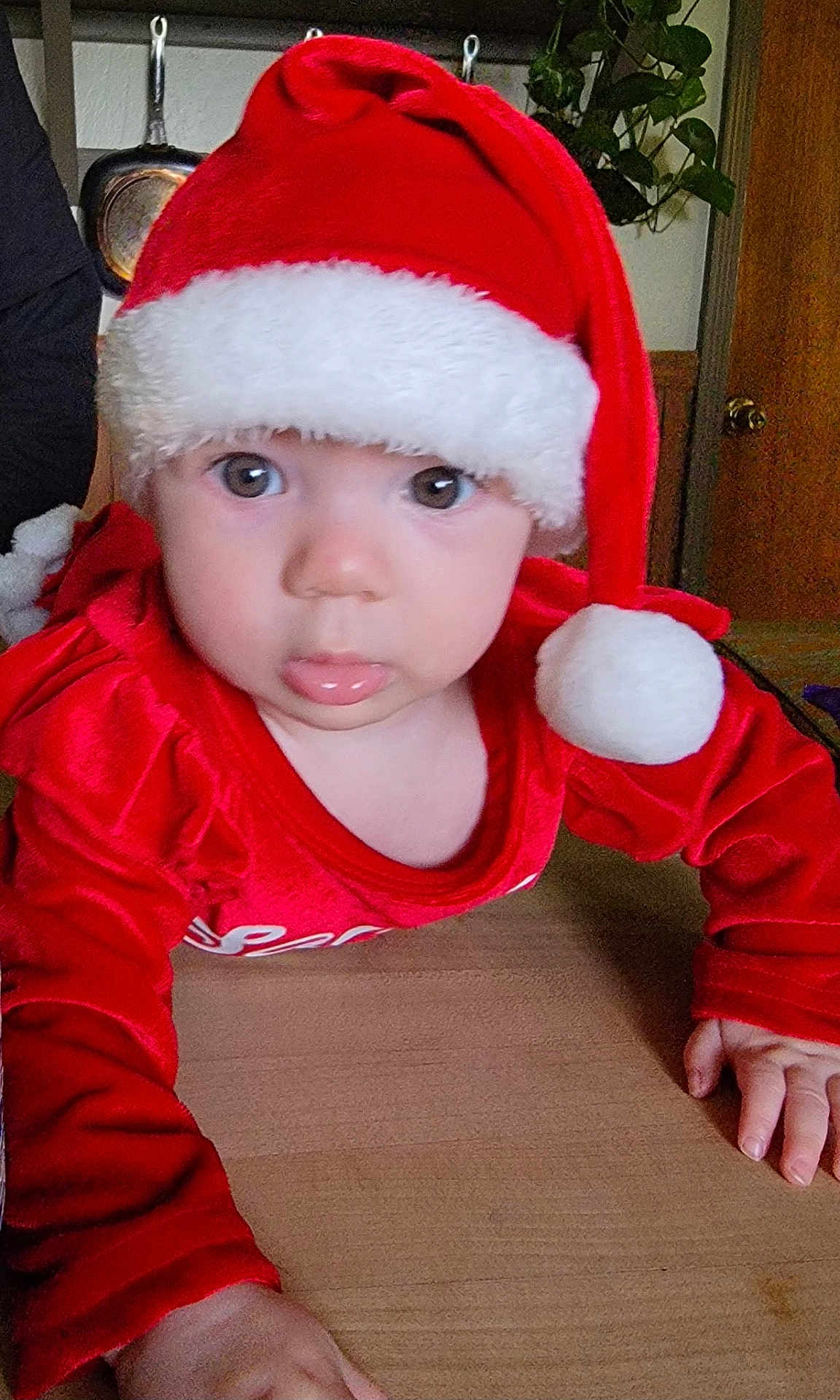 Gracelyn is registered to the contest to win money with this photo: baby, infant, santa_hat, red_clothing, crawling, tongue_out, indoor, wooden_table, plant, kitchen, pan, face, cute, holiday, christmas, child, person, festive, curious, young