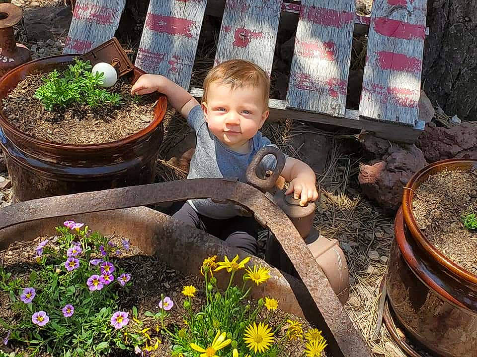 Coleson joined the competition — help win amazing prizes! child, compost, flower, flowerpot, garden, gardener, gardening, herb, houseplant, perennial_plant, person, plant, soil