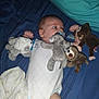 Brayden is registered to the contest to win money with this photo: baby, infant, pacifier, plush_toy, stuffed_animal, bed, blanket, blue_bedspread, clothing, onesie, child, indoor, cute, soft_toys, monkey_toy, sloth_toy, elephant_toy, dog_toy, lying_down, infant_gaze