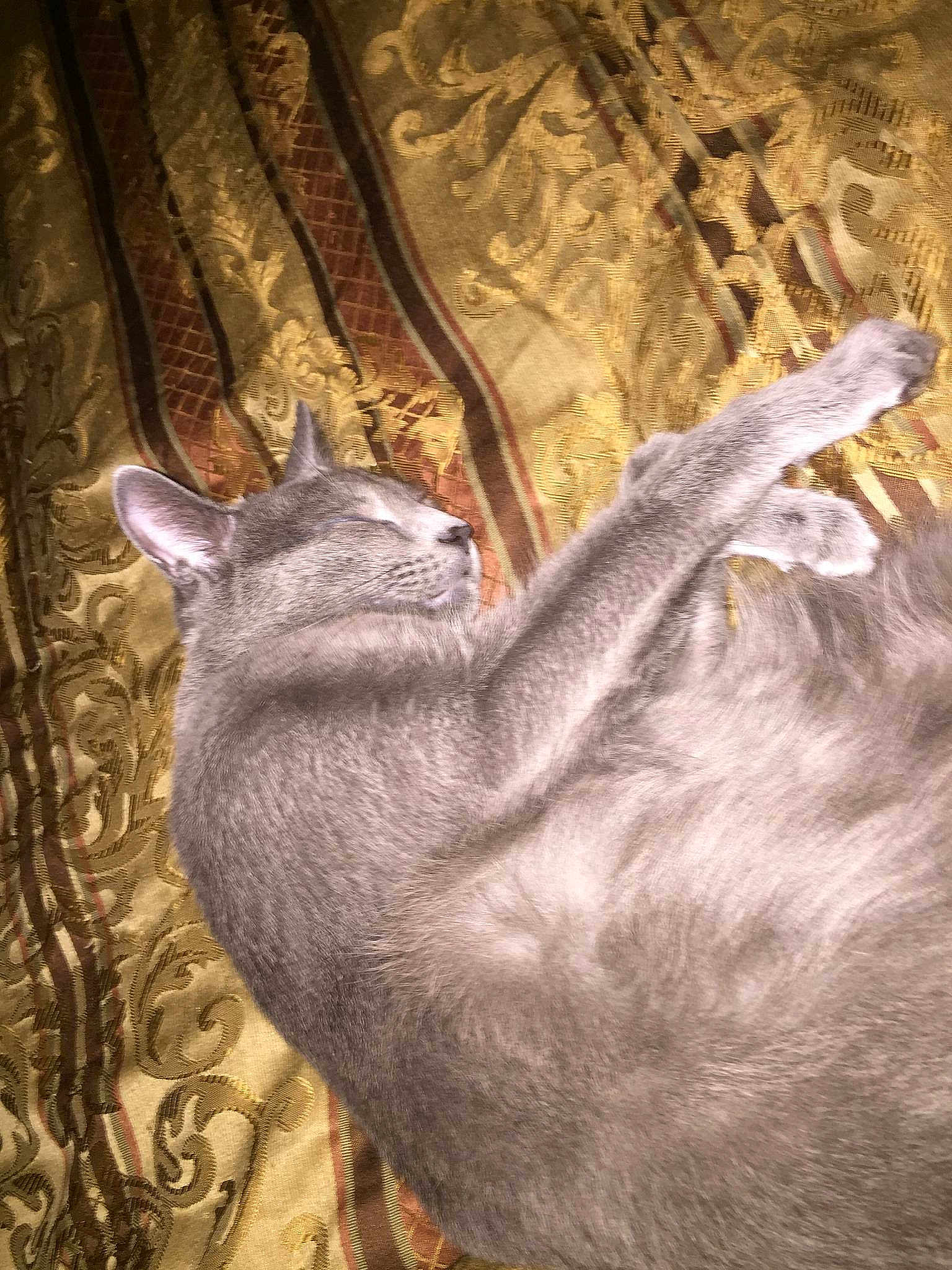 Beau