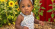 Azianna is registered to the contest to win money with this photo: baby, bow, child, curious, cute, flowers, garden, greenery, headband, nature, outdoor, plants, portrait, red_wall, sitting, summer, sunflowers, sunlight, toddler, wood_chips