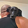 affection, animal, back, bald_head, black_dog, bond, calm, close_up, companion, dog, friendship, head, human, indoor, person, pet, resting, shoulder, skin, tank_top