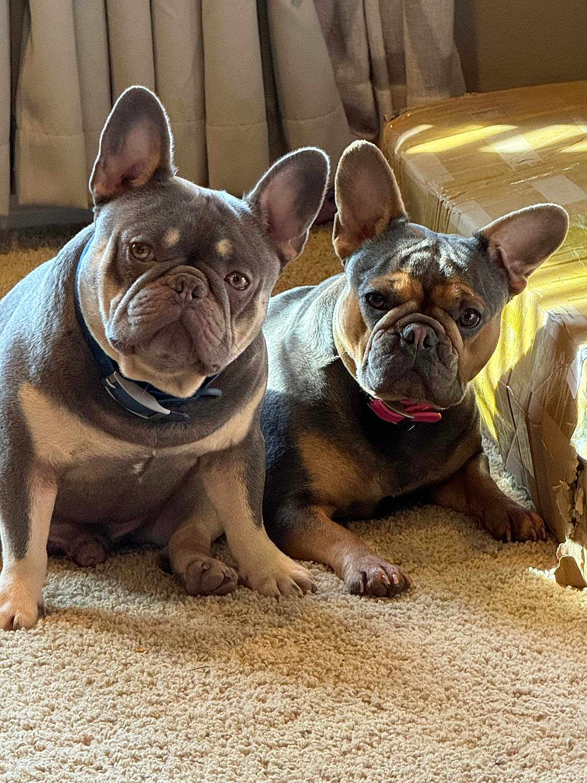 Hemi And Nay-Lah