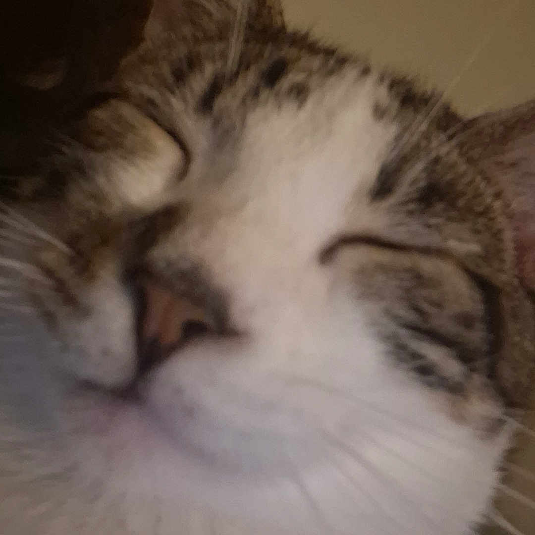 Ozzy