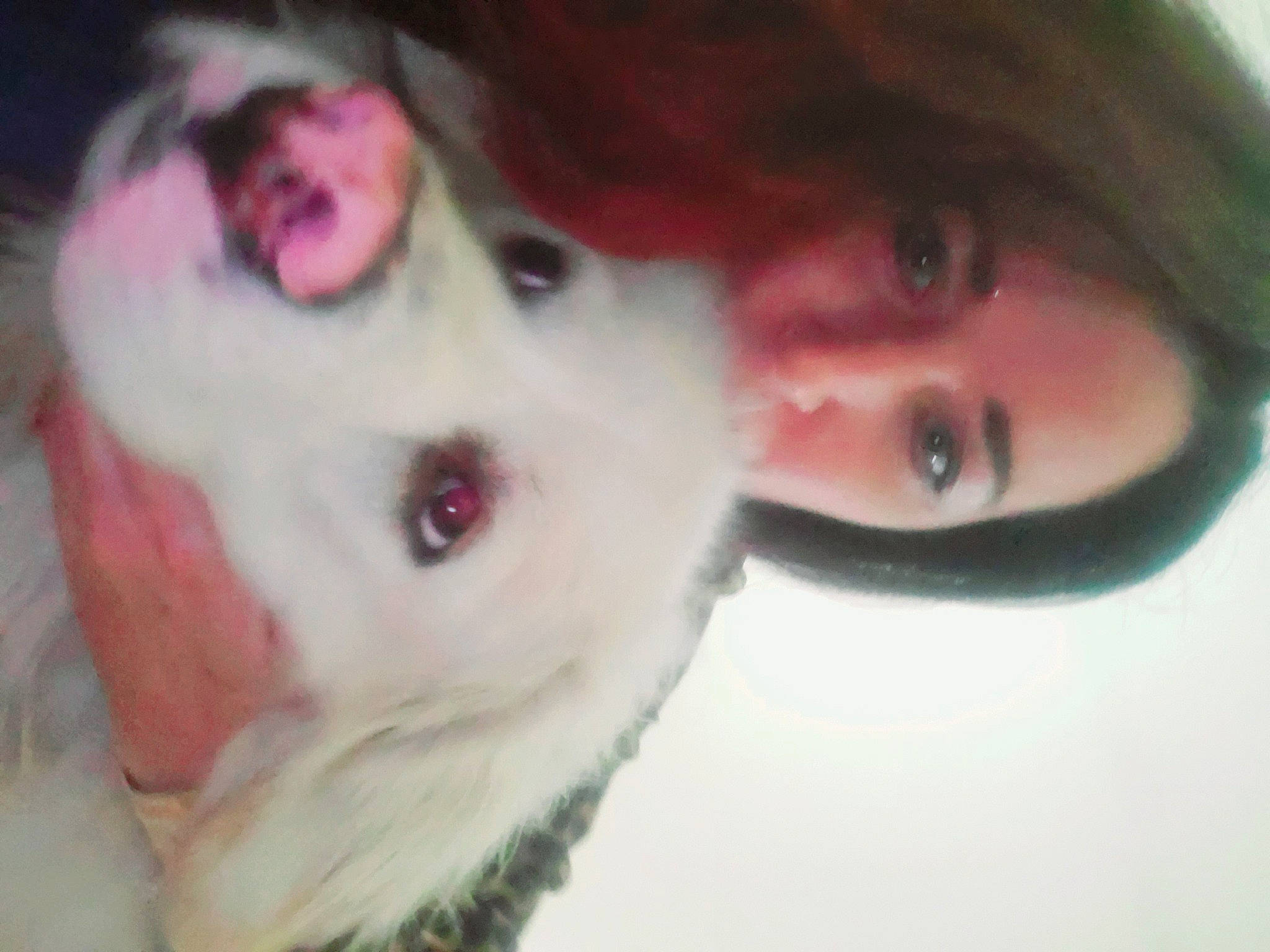 Teddy is registered to the contest to win money with this photo: canidae, cheek, ear, eye, eyebrow, face, fur, head, iris, jaw, lip, mouth, non_sporting_group, nose, photography, pink, selfie, skin, smile, snout