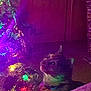 cat, christmas_tree, lights, ornaments, indoor, night, curious, pet, animal, festive, holiday, decorations, colorful, glow, cozy, furniture, domestic, celebration, tree, warm
