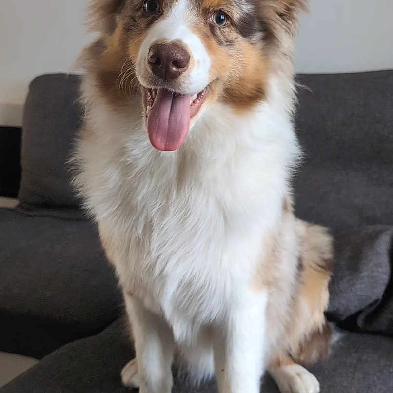 Abby