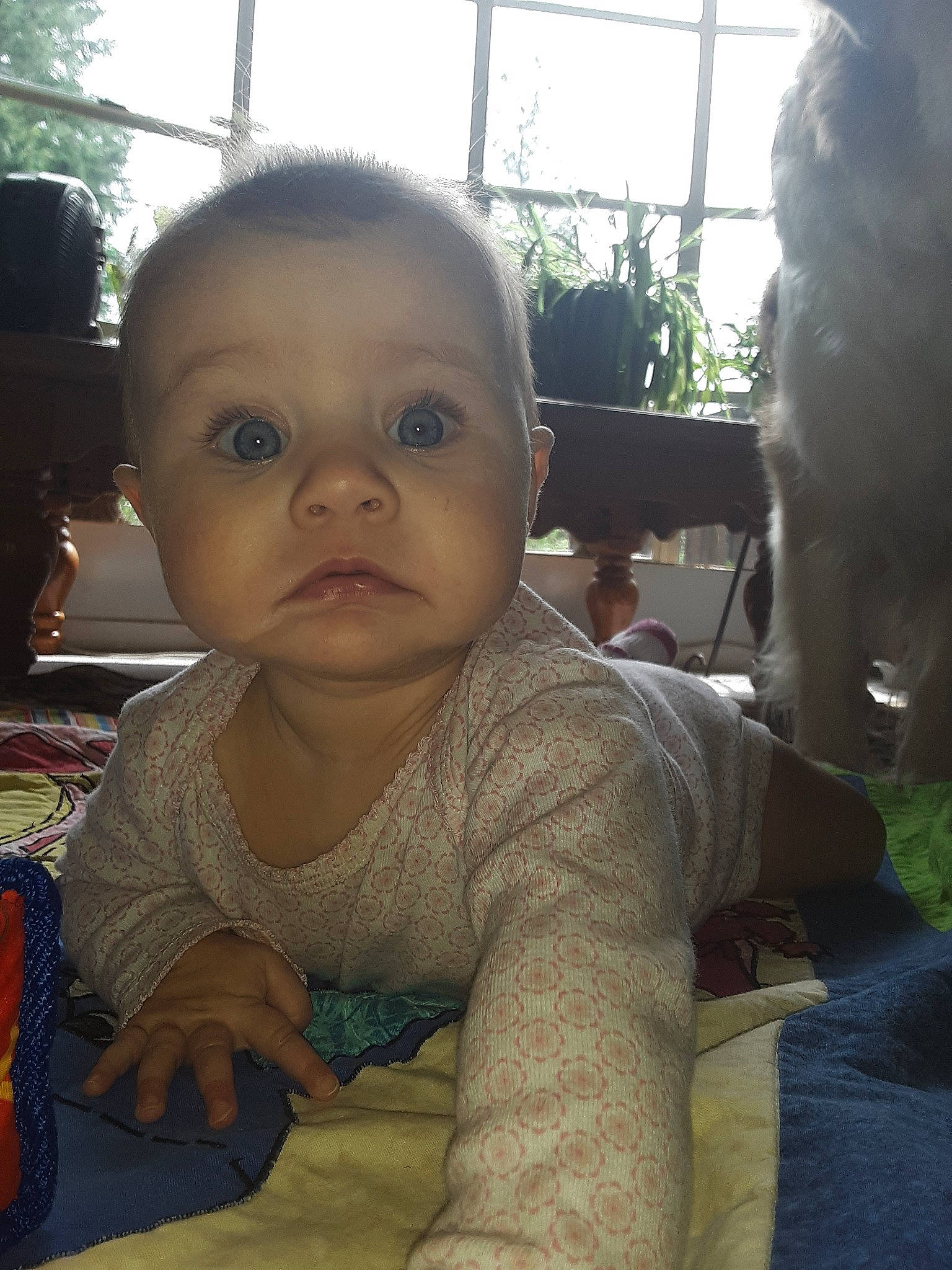 Dalilah joined the competition — help win amazing prizes! baby, cheek, child, eye, face, forehead, head, lip, mouth, nose, person, skin, smile, toddler