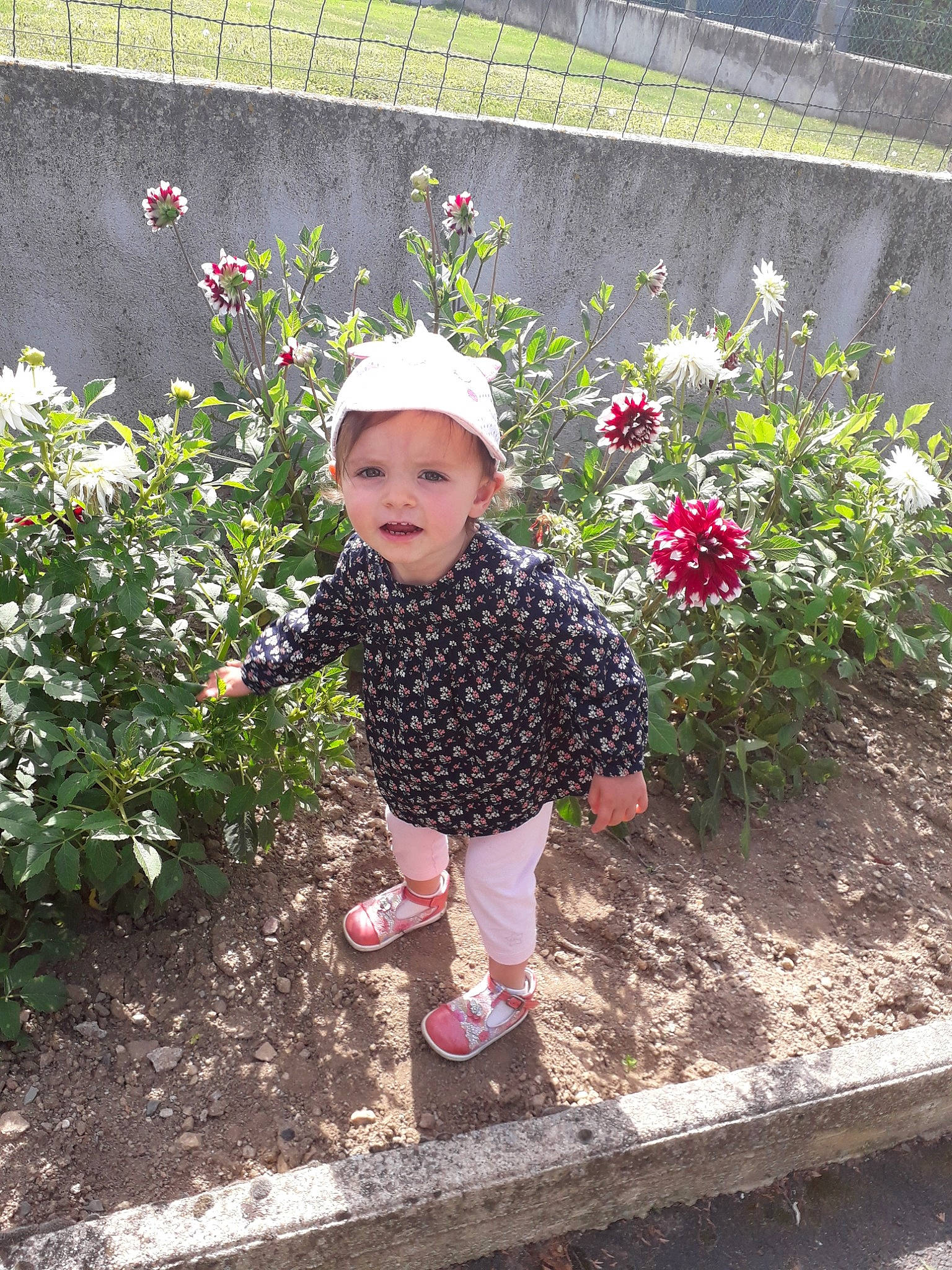Maelie a rejoint le concours — aidez-le/la à gagner de superbes lots ! child, flower, garden, headwear, person, plant, shrub, smile, spring, toddler