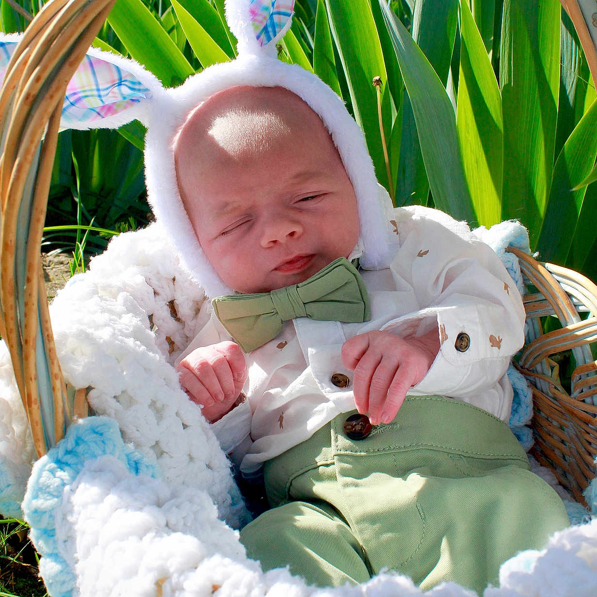 Dayton is registered to the contest to win money with this photo: accessories, baby, basket, bed, blanket, bonnet, clothing, cradle, crib, face, formalwear, furniture, hat, head, infantbed, newborn, person, photography, portrait, tie