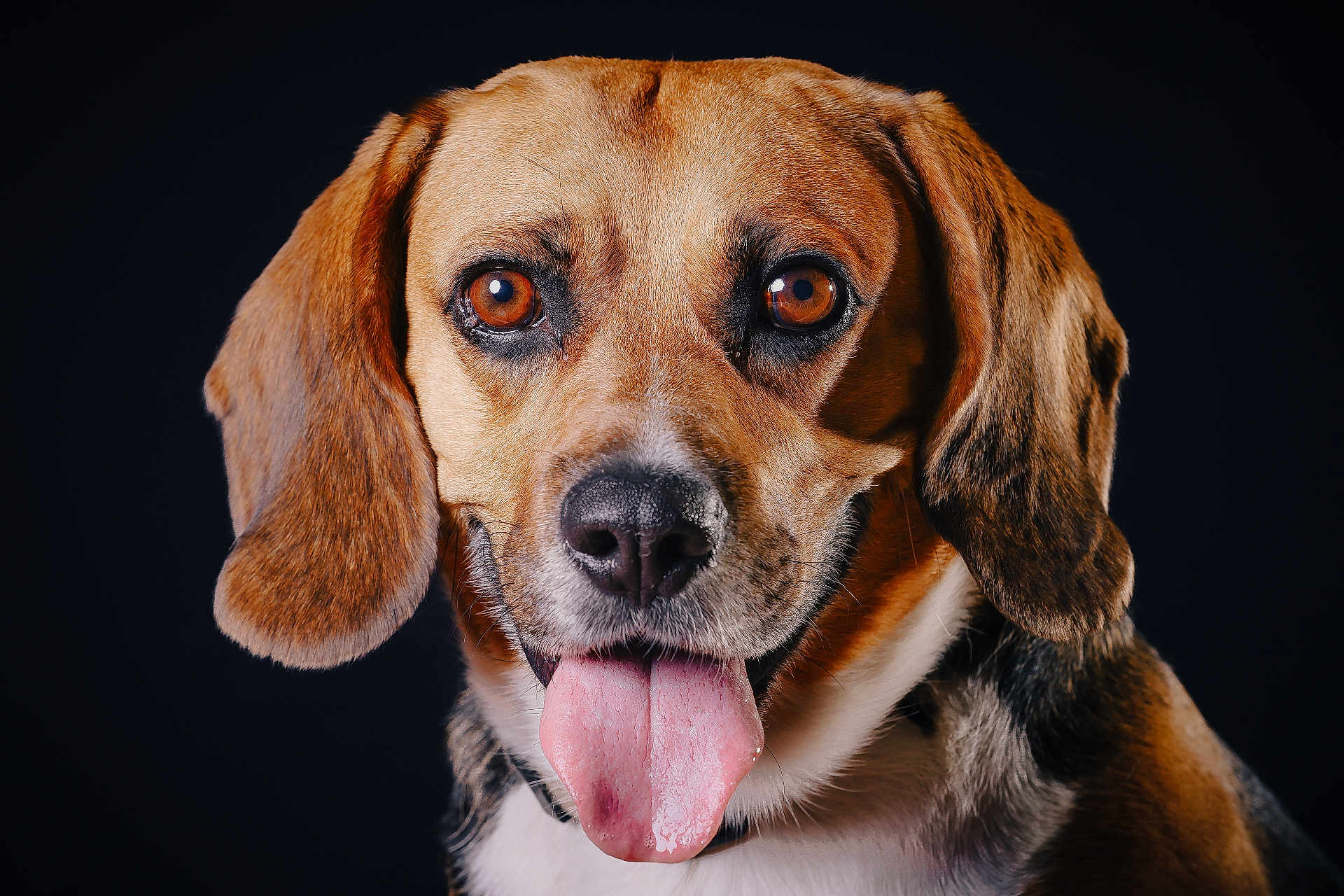 Nala