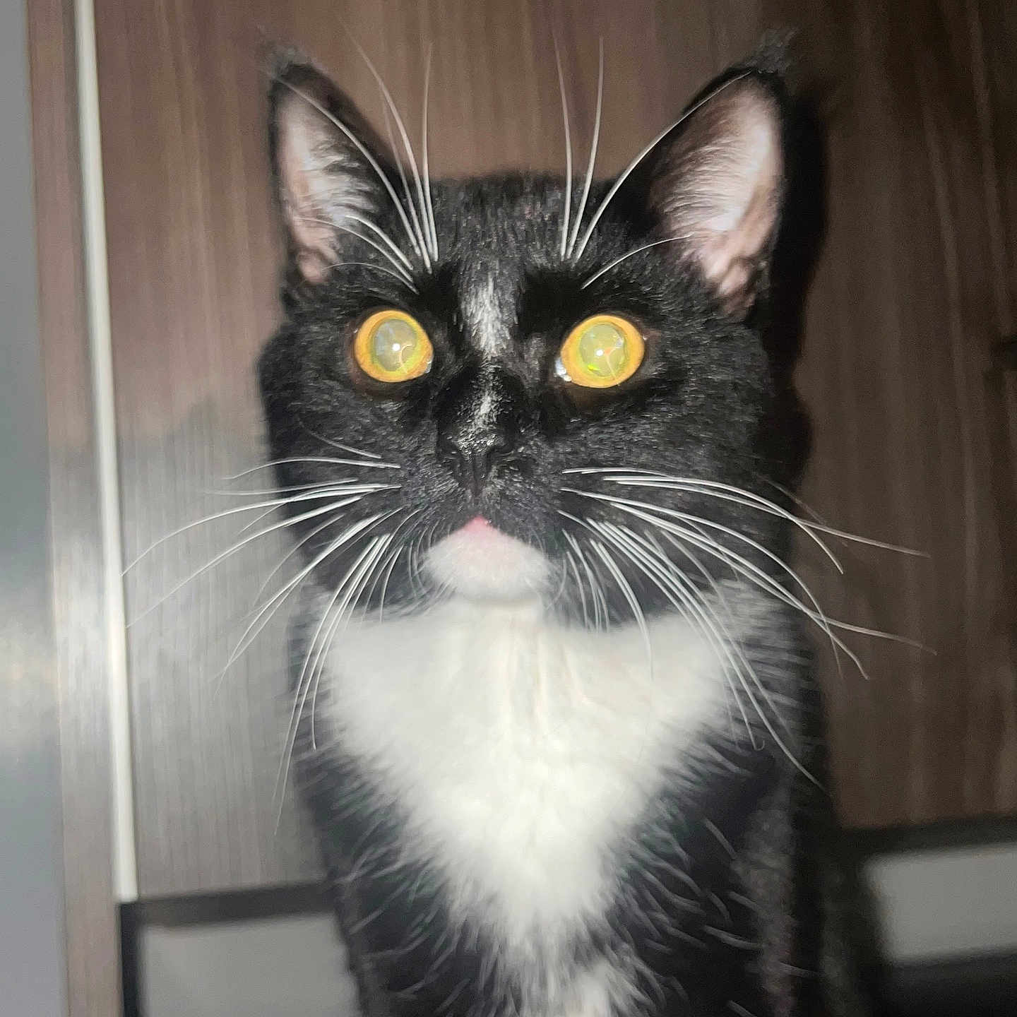 Maximus
