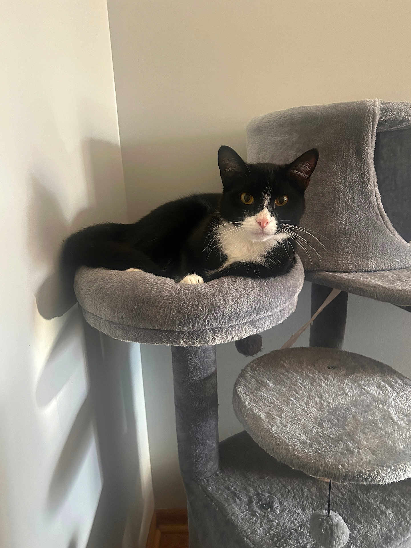 Oliver