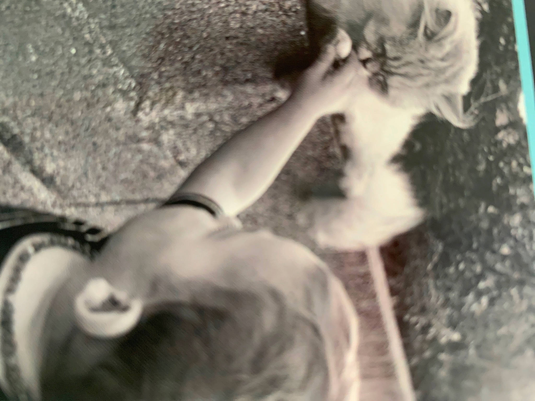 Loumi a rejoint le concours — aidez-le/la à gagner de superbes lots ! carnivore, cat, domestic_short_haired_cat, felidae, finger, fur, gesture, hand, happy, monochrome, monochrome_photography, nail, paw, portrait_photography, rock, small_to_medium_sized_cats, style, tail, whiskers