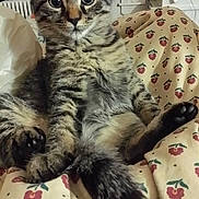 Luna is registered to the contest to win money with this photo: