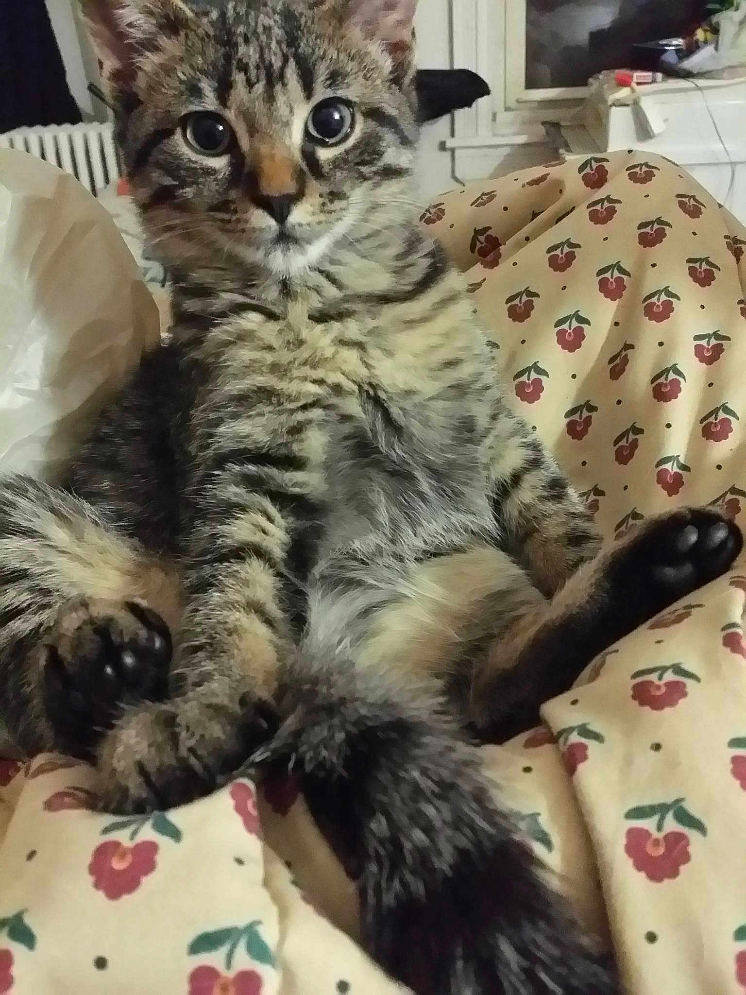 Luna