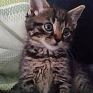 Luna is registered to the contest to win money with this photo: