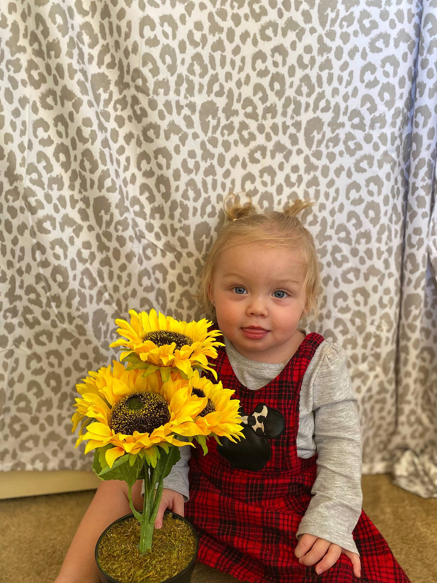 Dixie Jo joined the competition — help win amazing prizes! annual_plant, artificial_flower, baby_toddler_clothing, beauty, cut_flowers, flooring, floral_design, flower, flower_arranging, flowering_plant, flowerpot, happy, pattern, person, petal, plaid, plant, smile, tartan, toddler