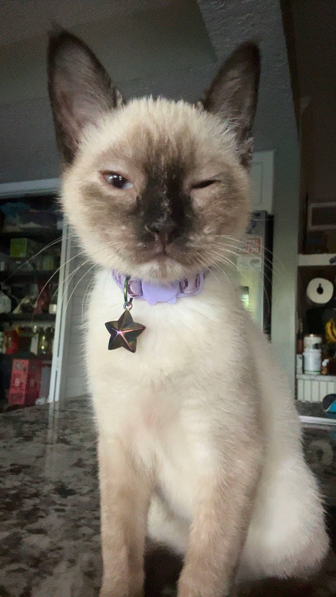 Echo