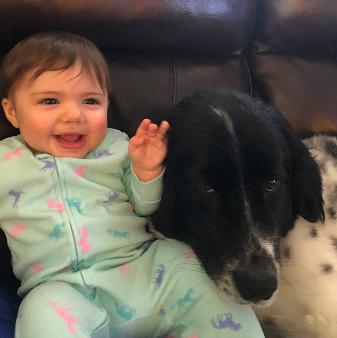 Gina is registered to the contest to win money with this photo: baby, canidae, carnivore, child, companion_dog, dog, dog_breed, eye, face, head, iris, large_munsterlander, nose, person, puppy_love, small_munsterlander, sporting_group, stabyhoun, toddler