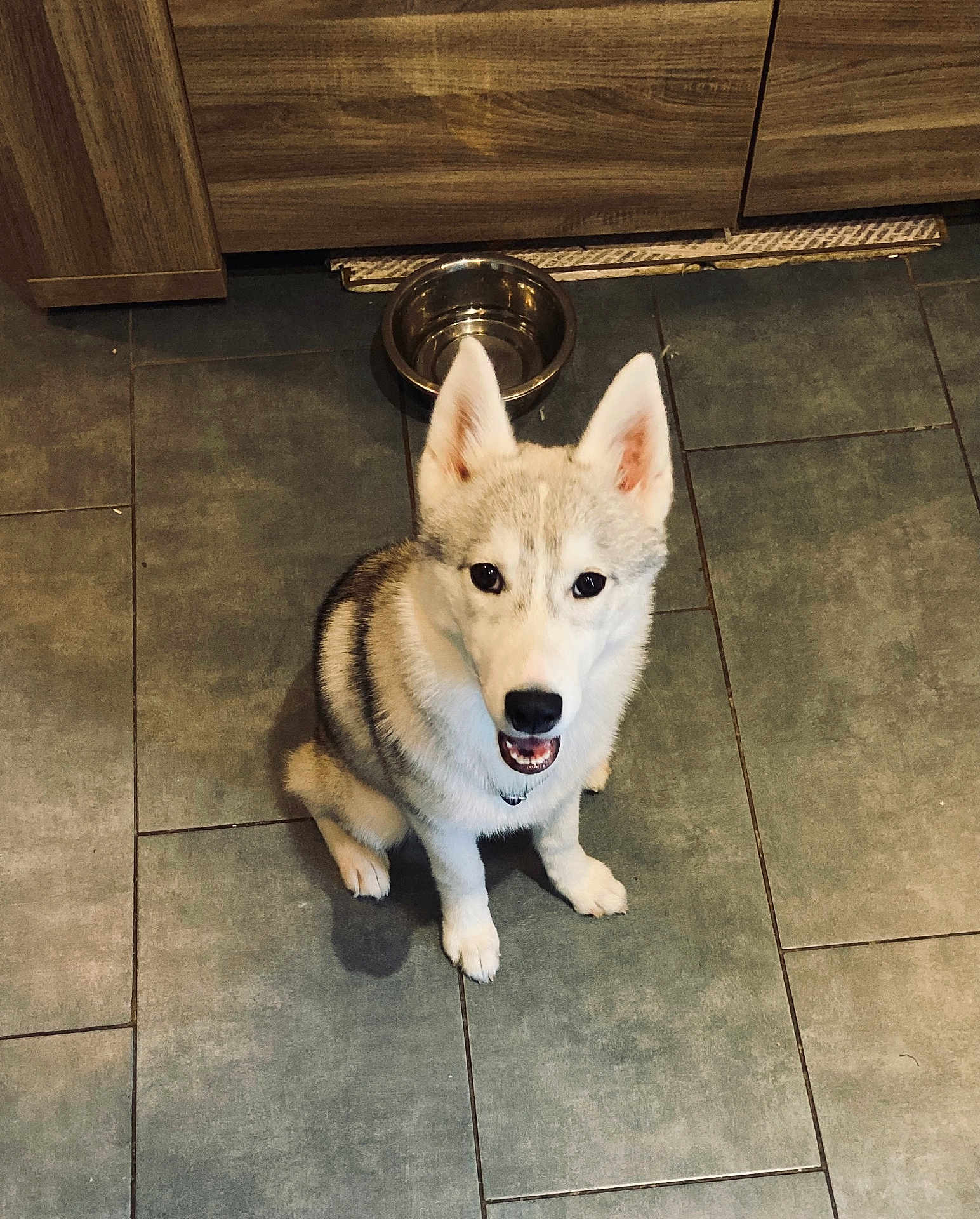 Alaska
