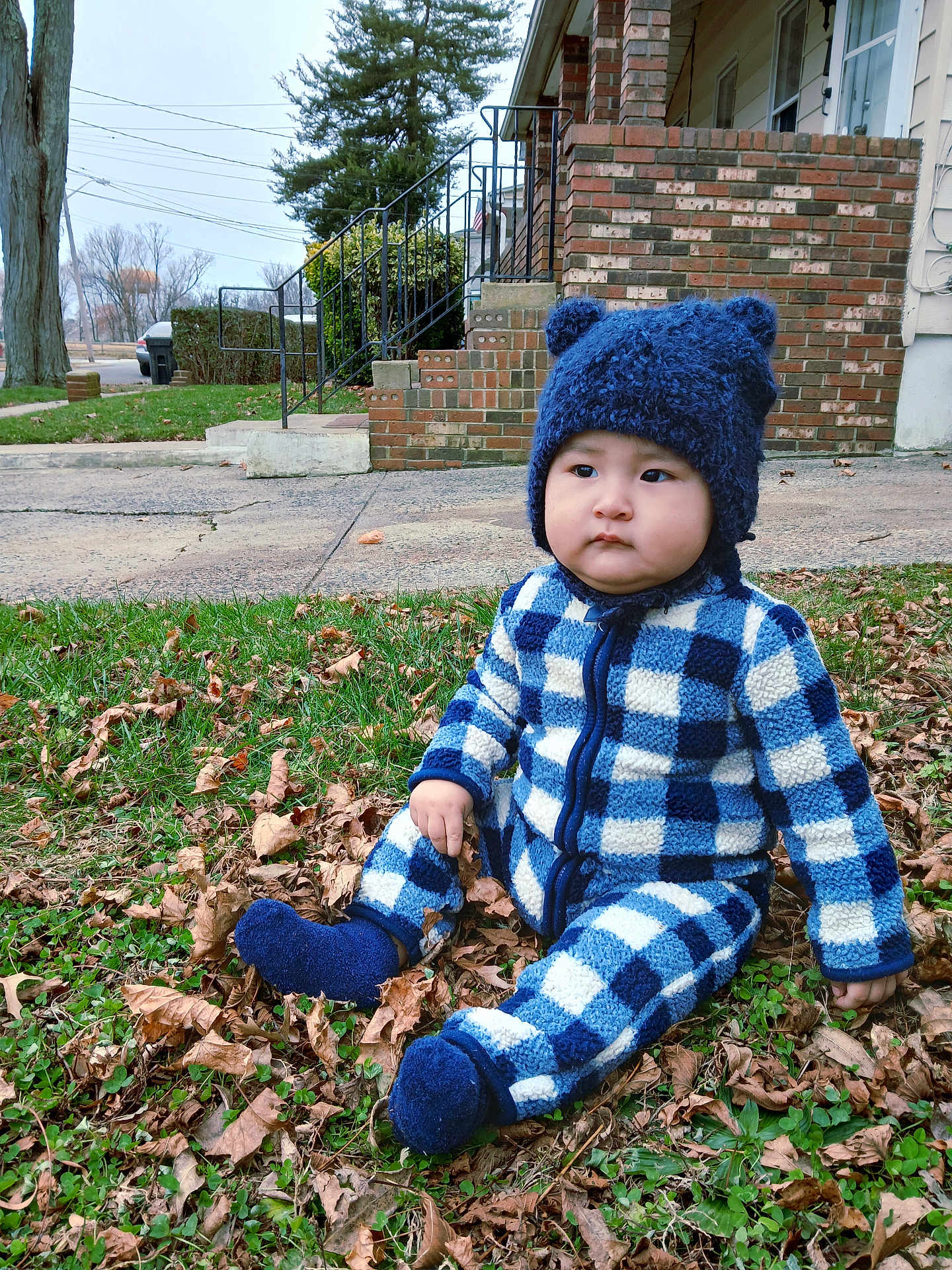 Jedrick is registered to the contest to win money with this photo: toddler, child, blue_hat, checkered_outfit, autumn_leaves, grass, outdoor, cold_weather, baby, hat_with_ears, fuzzy_hat, serious_expression, sitting, sidewalk, brick_house, stairs, greenery, fall, cute, winter_clothing
