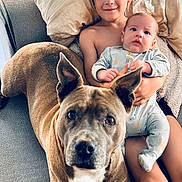 éden participe au concours pour gagner de l'argent avec cette photo : child, baby, dog, couch, pillow, window, indoor, family, pet, smiling, sitting, clothing, blanket, face, person, fur, relaxing, home, cute, bonding