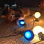 Shmi is registered to the contest to win money with this photo: