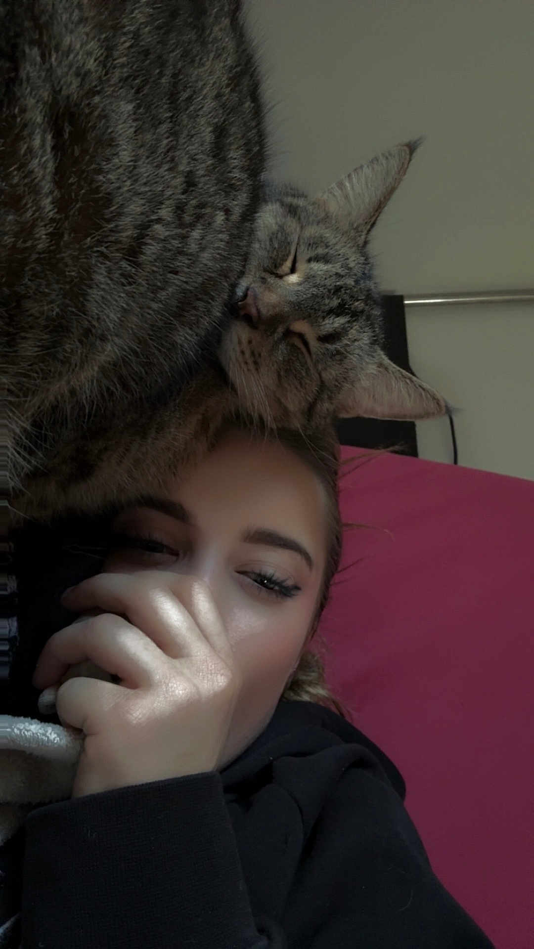 Tigrouu a rejoint le concours — aidez-le/la à gagner de superbes lots ! animal, bed, black_clothing, cat, close_up, cozy, face, hand, human, indoor, intimate, person, pet, pillow, pink_pillow, relaxation, resting, sleeping_cat, soft_lighting, tabby_cat