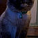 Lucy