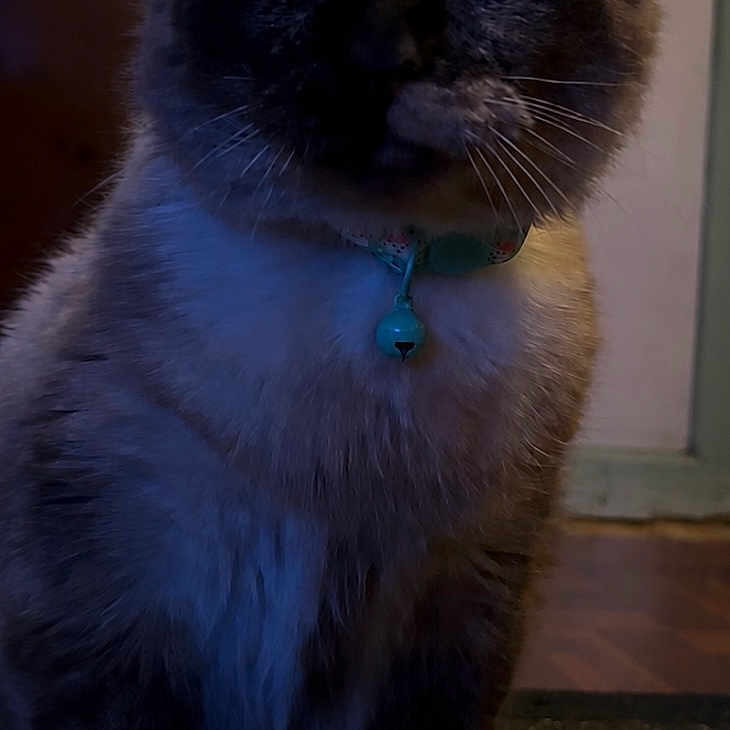Lucy