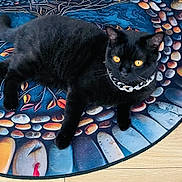 Anubis joined the competition — help win amazing prizes! black_cat, cat, pet, animal, collar, chain_collar, orange_eyes, feline, lying_down, floor, colorful_rug, decorative_rug, wooden_floor, indoor, mosaic_pattern, close_up, domestic_cat, resting, paw, whiskers