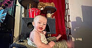 Lilly joined the competition — help win amazing prizes! baby, cat, cat_tree, hammock, red_curtain, indoor, child, tapestry, playful, pet, furniture, animal, person, curious, cozy, home, leisure, cute, smile, room