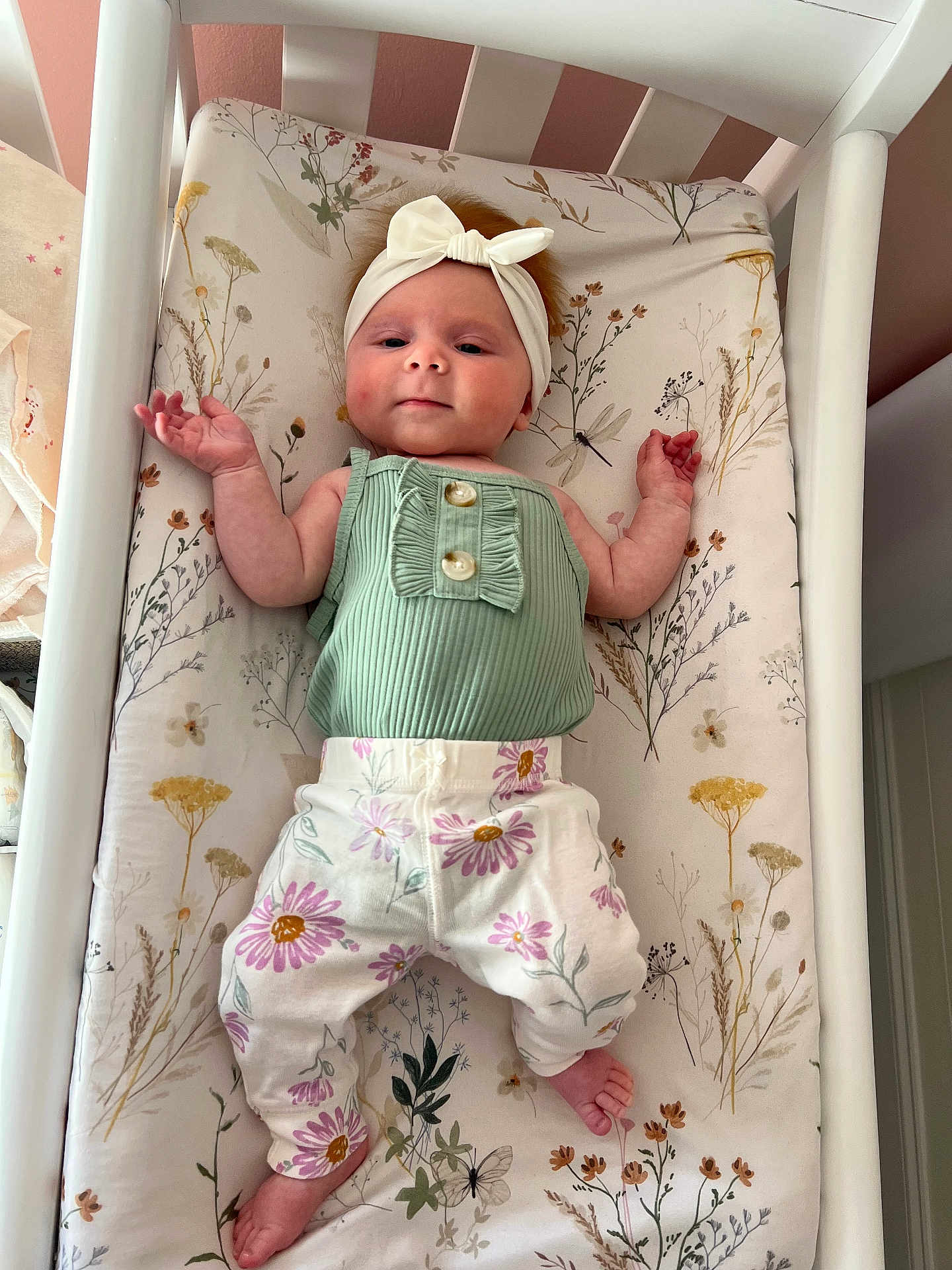 Sophia