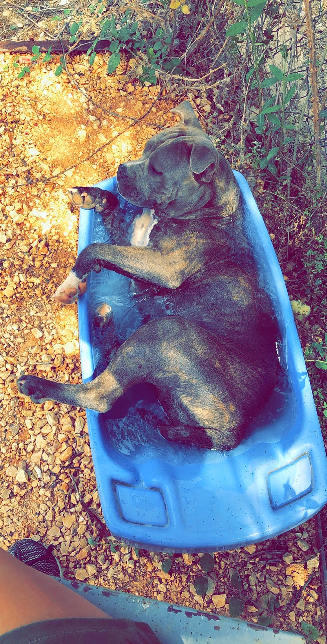 Perle a rejoint le concours — aidez-le/la à gagner de superbes lots ! vehicle