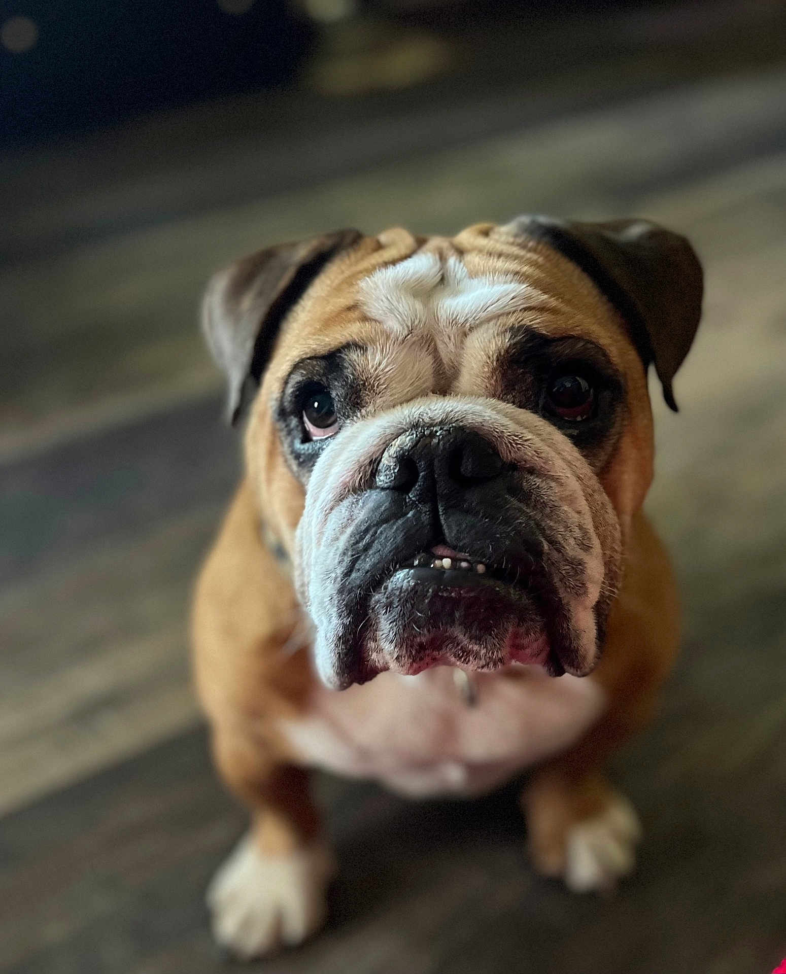 Murphy