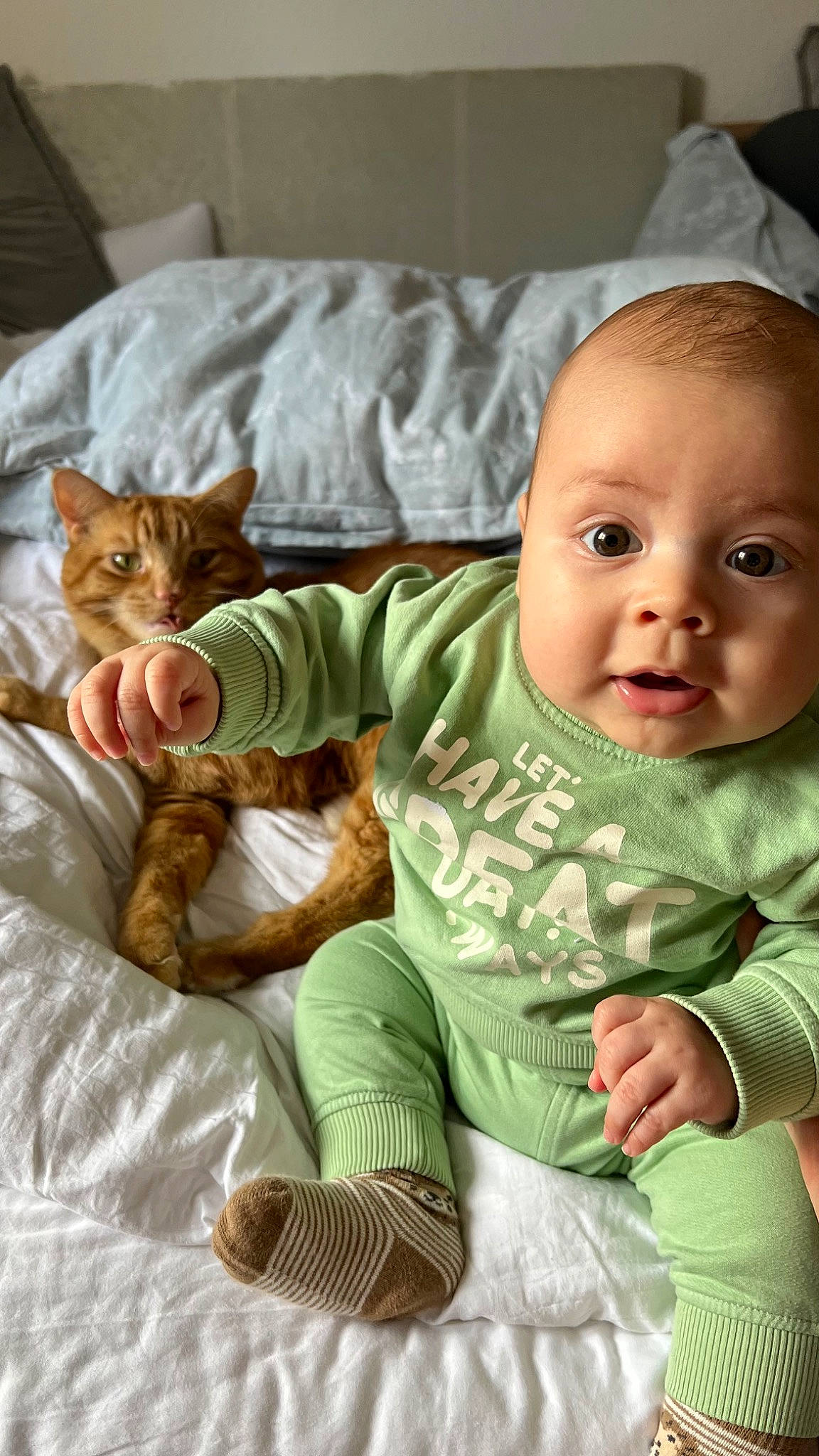 Filip is registered to the contest to win money with this photo: baby, baby_toddler_clothing, carnivore, cat, cheek, child, comfort, facial_expression, felidae, happy, iris, lap, linens, person, sitting, skin, sleeve, small_to_medium_sized_cats, toddler, vertebrate