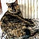 Minette
