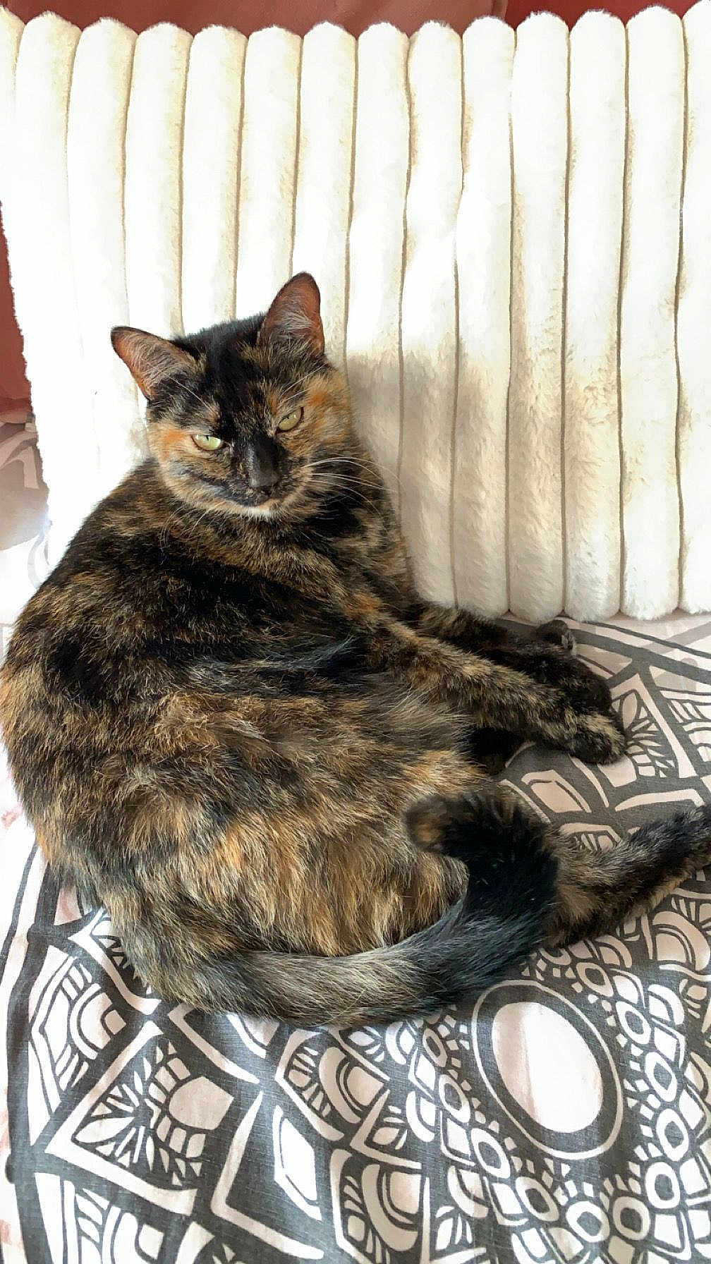 Minette