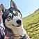 Taïa
