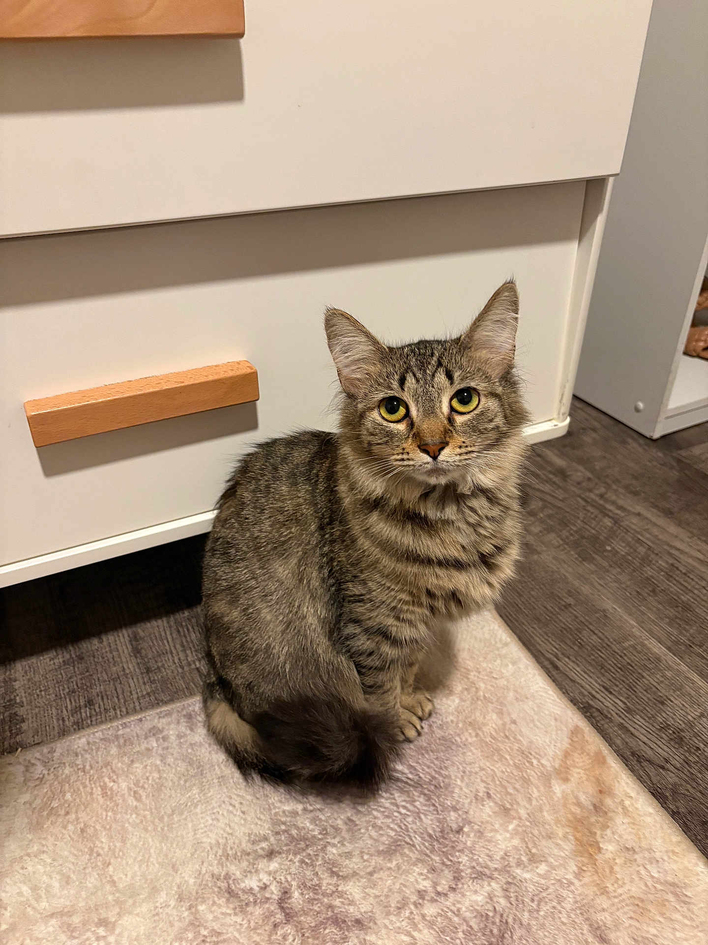Cleo