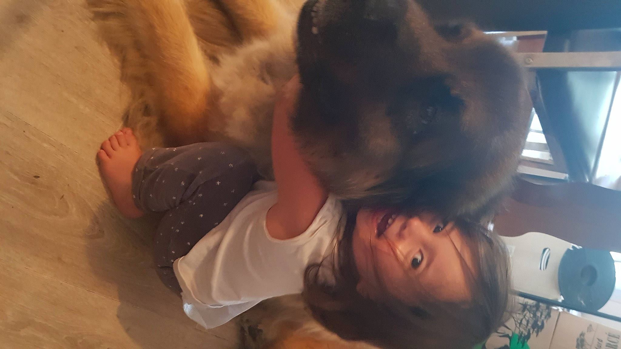Talya participe au concours pour gagner de l'argent avec cette photo : child, comfort, companion_dog, dog, dog_breed, elbow, fawn, flooring, fun, fur, gesture, guard_dog, happy, human_leg, mouth, nap, nose, person, selfie, skin